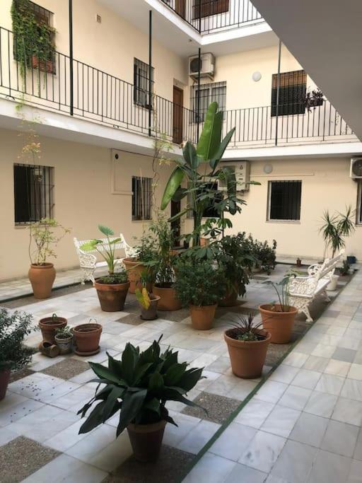 Sevilla San Bernardo Apartamento Luaran gambar